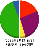 竹井土建 貸借対照表 2010年3月期