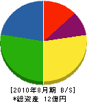 大塚 貸借対照表 2010年8月期