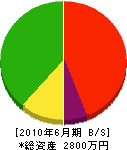 北日本ファラオン 貸借対照表 2010年6月期