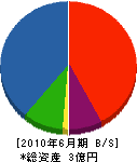 木田組 貸借対照表 2010年6月期