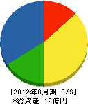 佐野電機 貸借対照表 2012年8月期