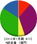 江藤工務店 貸借対照表 2012年1月期