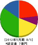 新栄道路標識 貸借対照表 2012年5月期