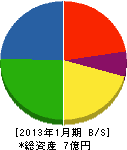池田喜伴商店 貸借対照表 2013年1月期