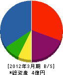 大松興産 貸借対照表 2012年3月期