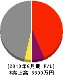 永光 損益計算書 2010年6月期 永光 損益計算書 2010年6月期