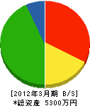 芦澤工務所 貸借対照表 2012年3月期