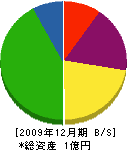 沢岡園芸 貸借対照表 2009年12月期
