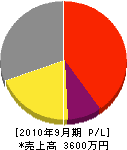 藤田電機工業所 損益計算書 2010年9月期