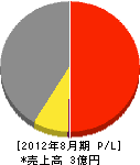 川井スポーツ 損益計算書 2012年8月期