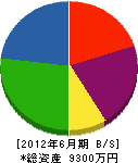 井戸忠工業 貸借対照表 2012年6月期