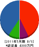 鈴木鉄工所 貸借対照表 2011年5月期