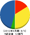 北沢建設 貸借対照表 2012年6月期