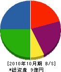 アキヤマ 貸借対照表 2010年10月期
