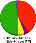 戌亥電機工業 貸借対照表 2010年5月期