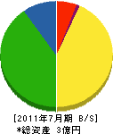 蛭田植物園 貸借対照表 2011年7月期
