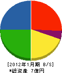 池田喜伴商店 貸借対照表 2012年1月期