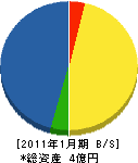 石沢電気商会 貸借対照表 2011年1月期