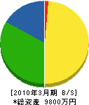川中工務店 貸借対照表 2010年3月期