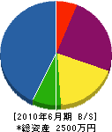 佐賀畳工業 貸借対照表 2010年6月期