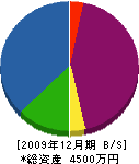 ひし井建設 貸借対照表 2009年12月期
