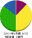 興電社 貸借対照表 2011年6月期