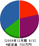永田工業 貸借対照表 2009年12月期 永田工業 貸借対照表 2009年12月期