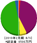 桂田板金工業所 貸借対照表 2010年2月期