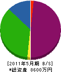 和田商会 貸借対照表 2011年5月期