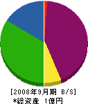洋伸 貸借対照表 2008年9月期