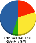 ワタケン・ホーム 貸借対照表 2012年3月期
