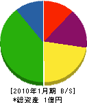 中野左官店 貸借対照表 2010年1月期