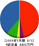 鈴木鉄工所 貸借対照表 2009年5月期