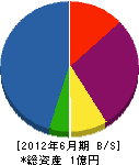 南栄 貸借対照表 2012年6月期