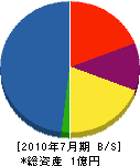 巌大建業 貸借対照表 2010年7月期