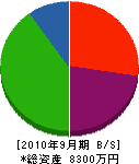 中島塗装工業所 貸借対照表 2010年9月期