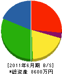 中川組 貸借対照表 2011年6月期