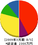 大晃電気工事 貸借対照表 2009年3月期