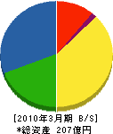 日本ネットワークサポート 貸借対照表 2010年3月期