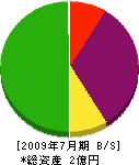関根電機工事部 貸借対照表 2009年7月期