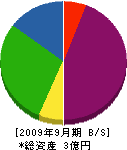 能田電気工業 貸借対照表 2009年9月期