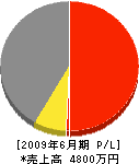 相原組 損益計算書 2009年6月期