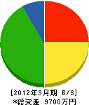 石川電機商会 貸借対照表 2012年3月期