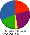 桜電設 貸借対照表 2012年6月期