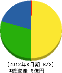 松清産業 貸借対照表 2012年6月期