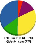 ヨコカワ 貸借対照表 2009年11月期