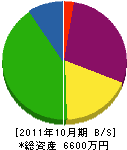 菊電工業 貸借対照表 2011年10月期
