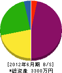 小郷畳店 貸借対照表 2012年6月期