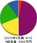 伊藤電気 貸借対照表 2010年9月期