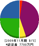 徳世塗装工芸 貸借対照表 2009年11月期